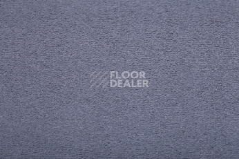 Ковролин Condor  Magic 76 фото 1 | FLOORDEALER